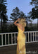 Sexy Yellow Spaghetti Straps Sheath Party Dress Long Prom Dresses to Impress ,MB995